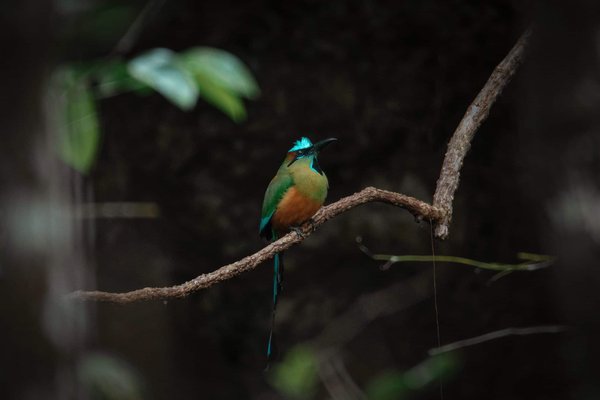Can You Pair Chunky Loafers with Sheer Socks for a Fashion-Forward Office Outfit?
